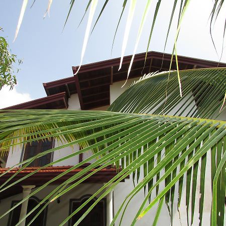 Falcon Villa Induruwa Extérieur photo